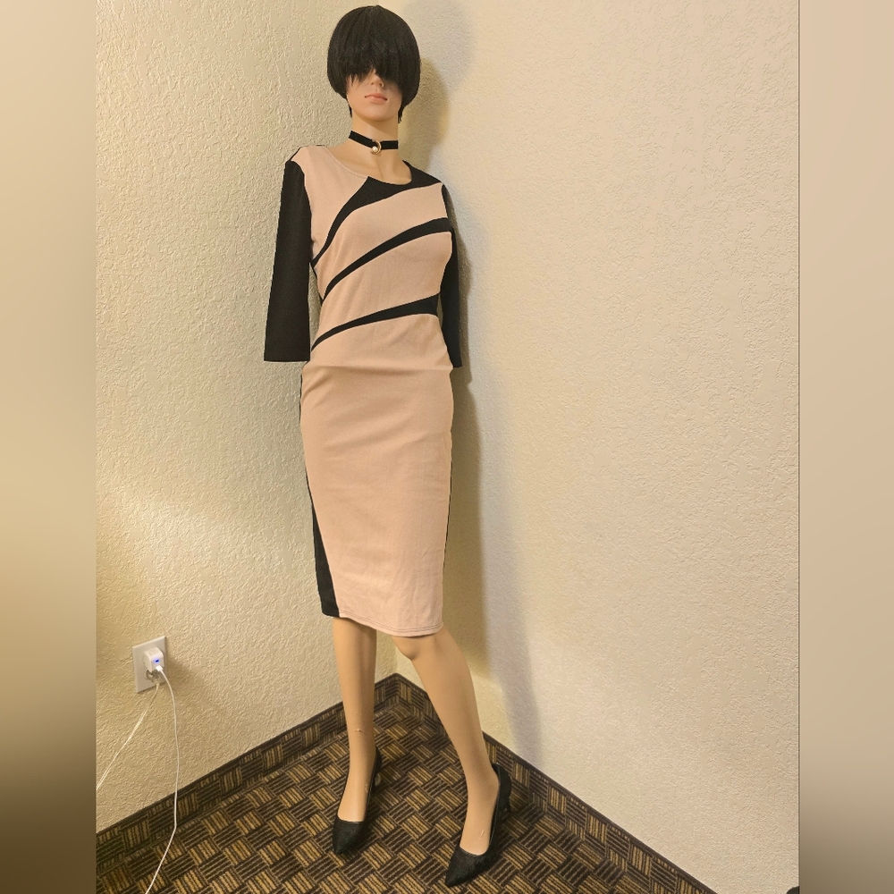 Elegant Black and Tan Dress